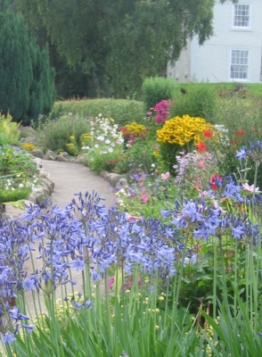 summer gardening