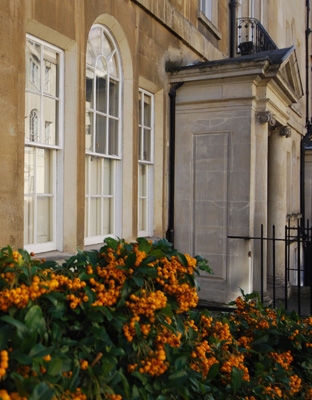 autumn gardening