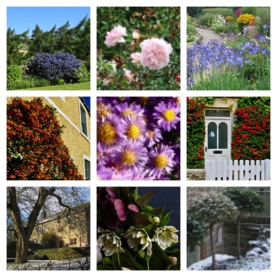 seasonal gardens