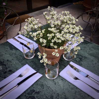 flowering plants